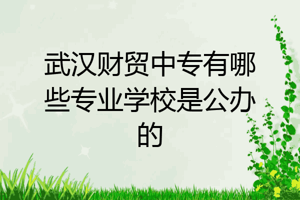 武汉财贸中专有哪些专业学校是公办的