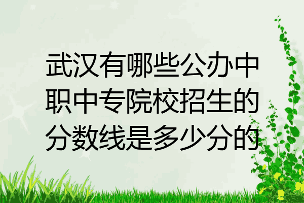 武汉有哪些公办中职中专院校招生的分数线是多少分的