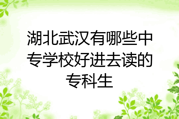 湖北武汉有哪些中专学校好进去读的专科生