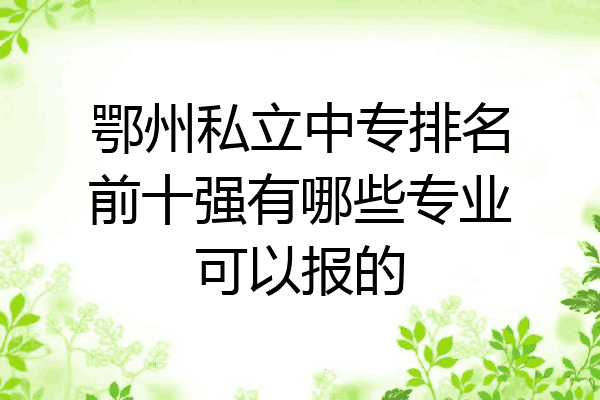 鄂州私立中专排名前十强有哪些专业可以报的