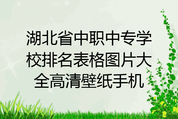 湖北省中职中专学校排名表格图片大全高清壁纸手机