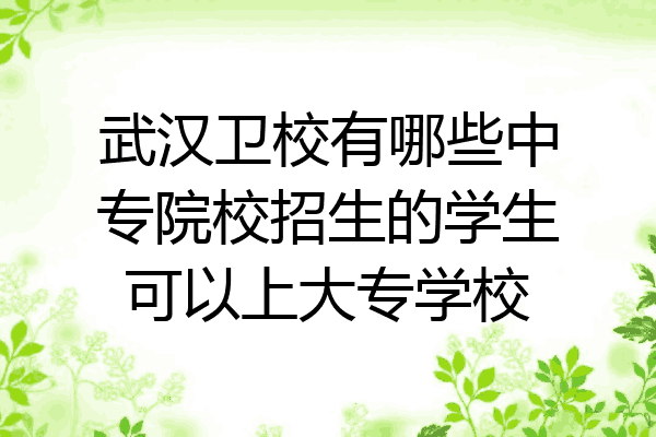 武汉卫校有哪些中专院校招生的学生可以上大专学校