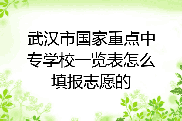 武汉市国家重点中专学校一览表怎么填报志愿的