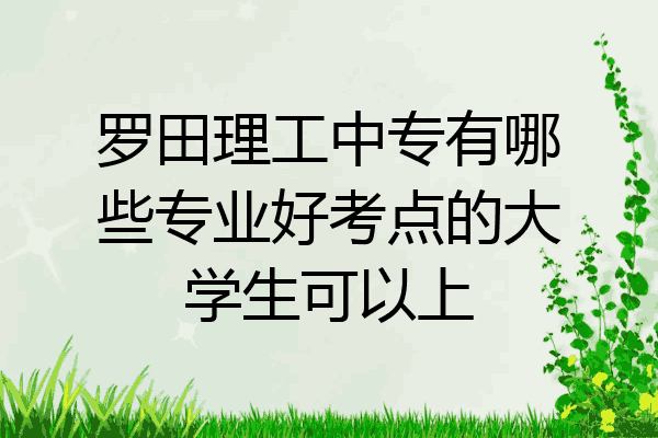 罗田理工中专有哪些专业好考点的大学生可以上