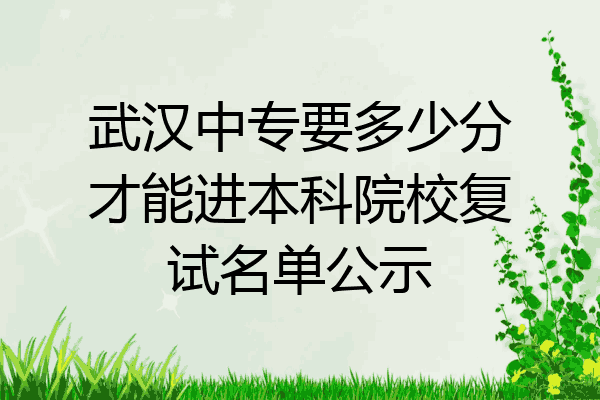 武汉中专要多少分才能进本科院校复试名单公示