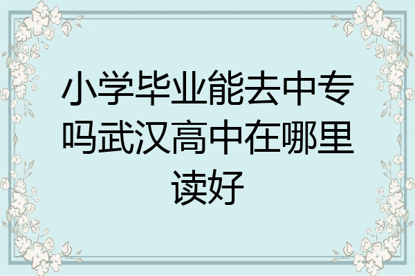 小学毕业能去中专吗武汉高中在哪里读好