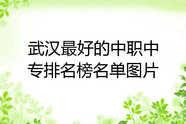 武汉最好的中职中专排名榜名单图片
