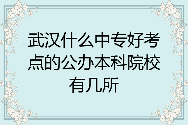 武汉什么中专好考点的公办本科院校有几所