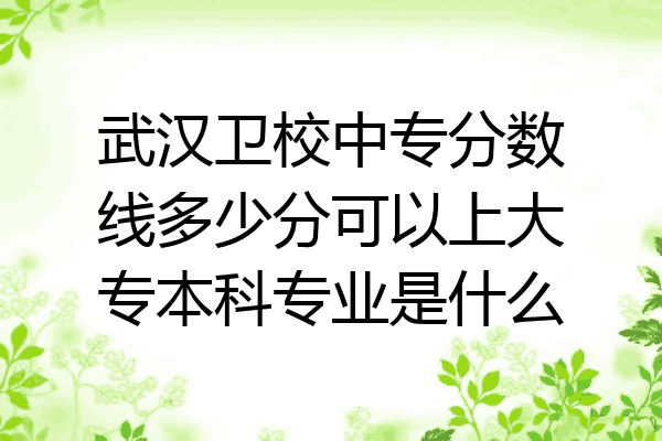武汉卫校中专分数线多少分可以上大专本科专业是什么