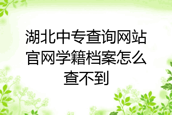 湖北中专查询网站官网学籍档案怎么查不到