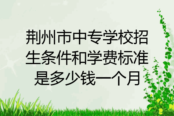 荆州市中专学校招生条件和学费标准是多少钱一个月