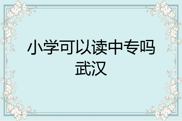 小学可以读中专吗武汉