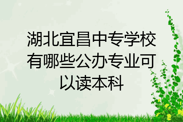 湖北宜昌中专学校有哪些公办专业可以读本科
