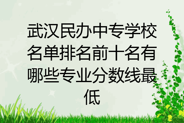 武汉民办中专学校名单排名前十名有哪些专业分数线最低