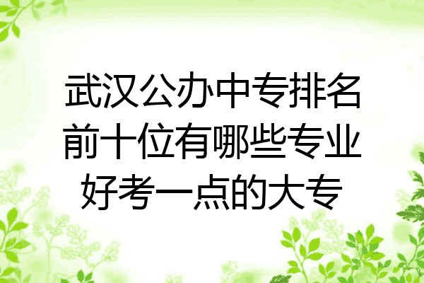 武汉公办中专排名前十位有哪些专业好考一点的大专