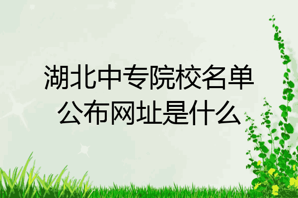 湖北中专院校名单公布网址是什么