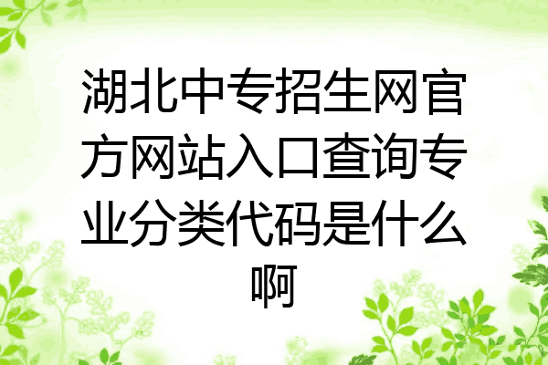 湖北中专招生网官方网站入口查询专业分类代码是什么啊