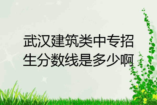 武汉建筑类中专招生分数线是多少啊