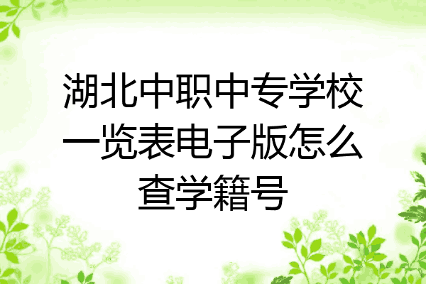 湖北中职中专学校一览表电子版怎么查学籍号