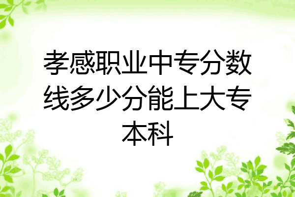 孝感职业中专分数线多少分能上大专本科