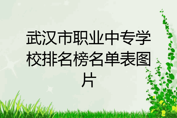 武汉市职业中专学校排名榜名单表图片