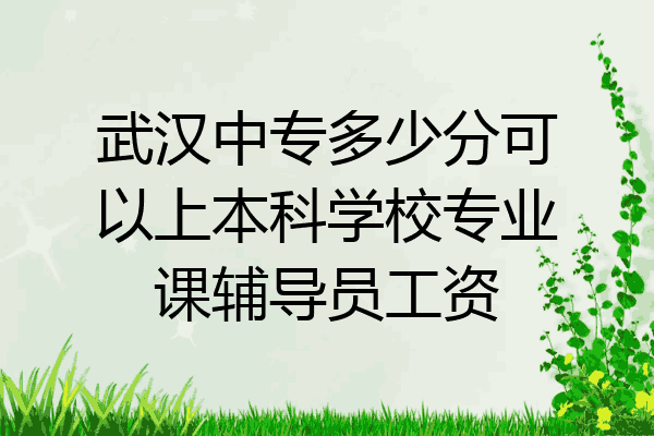 武汉中专多少分可以上本科学校专业课辅导员工资