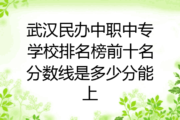 武汉民办中职中专学校排名榜前十名分数线是多少分能上
