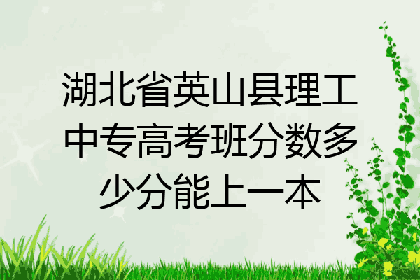 湖北省英山县理工中专高考班分数多少分能上一本
