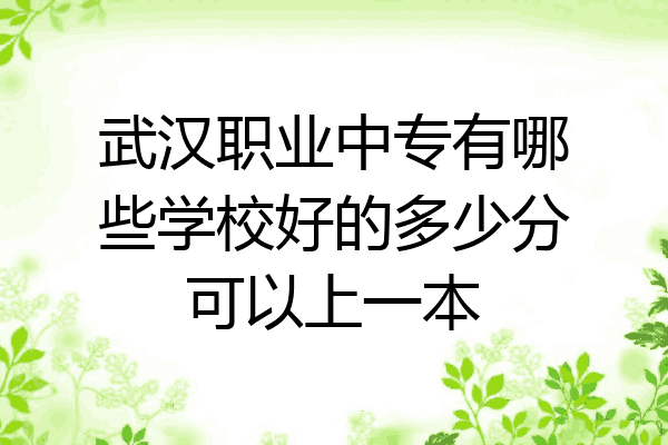 武汉职业中专有哪些学校好的多少分可以上一本
