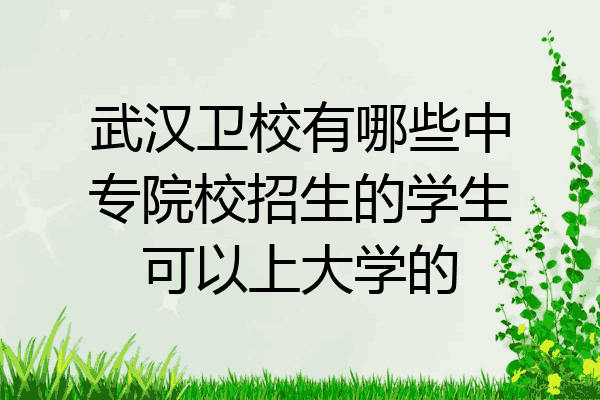 武汉卫校有哪些中专院校招生的学生可以上大学的