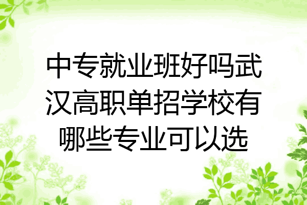 中专就业班好吗武汉高职单招学校有哪些专业可以选