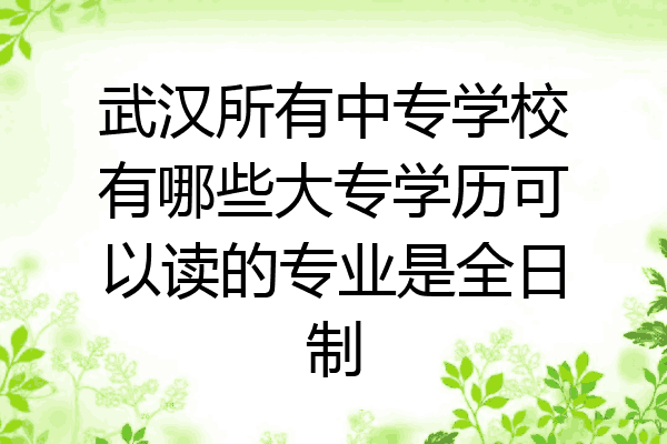武汉所有中专学校有哪些大专学历可以读的专业是全日制