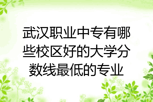 武汉职业中专有哪些校区好的大学分数线最低的专业