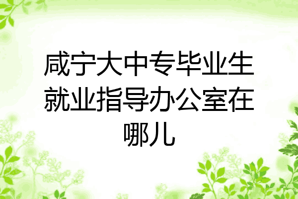 咸宁大中专毕业生就业指导办公室在哪儿