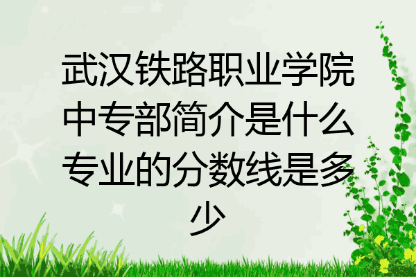 武汉铁路职业学院中专部简介是什么专业的分数线是多少