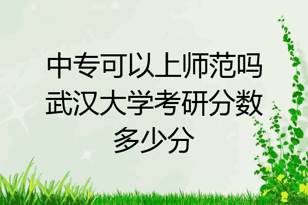 中专可以上师范吗武汉大学考研分数多少分