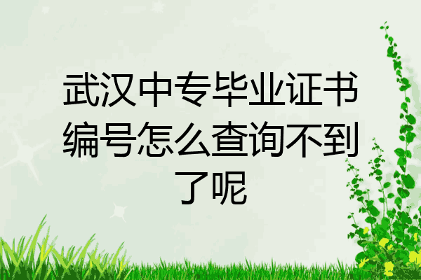 武汉中专毕业证书编号怎么查询不到了呢