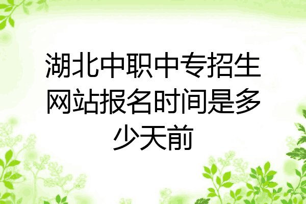 湖北中职中专招生网站报名时间是多少天前