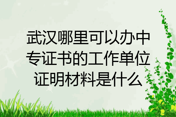 武汉哪里可以办中专证书的工作单位证明材料是什么