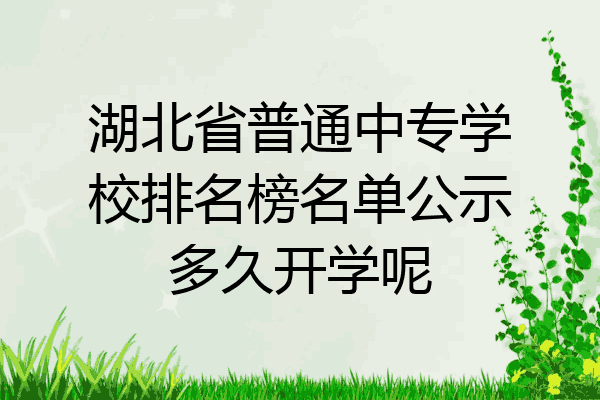 湖北省普通中专学校排名榜名单公示多久开学呢