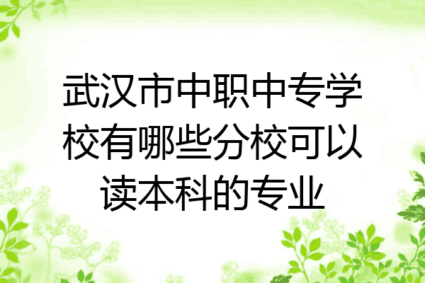 武汉市中职中专学校有哪些分校可以读本科的专业
