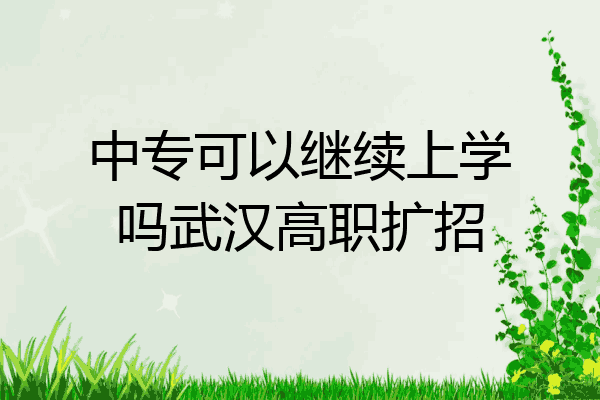 中专可以继续上学吗武汉高职扩招