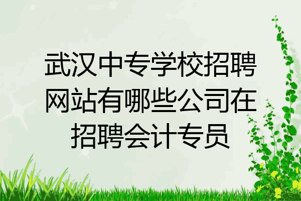 武汉中专学校招聘网站有哪些公司在招聘会计专员