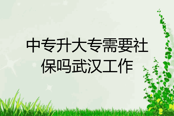 中专升大专需要社保吗武汉工作