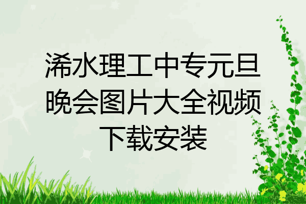 浠水理工中专元旦晚会图片大全视频下载安装