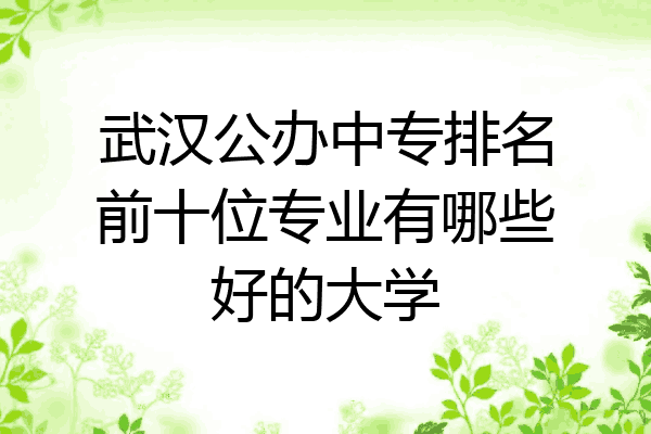 武汉公办中专排名前十位专业有哪些好的大学