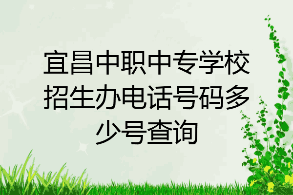 宜昌中职中专学校招生办电话号码多少号查询