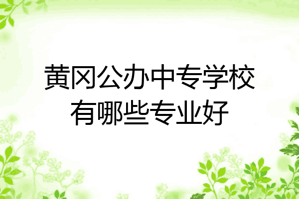 黄冈公办中专学校有哪些专业好