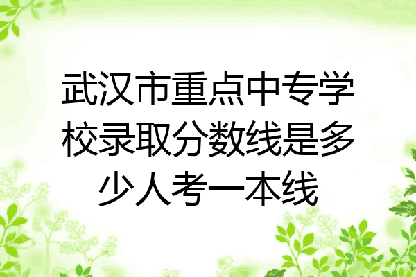 武汉市重点中专学校录取分数线是多少人考一本线