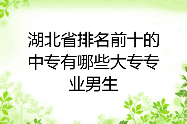 湖北省排名前十的中专有哪些大专专业男生
